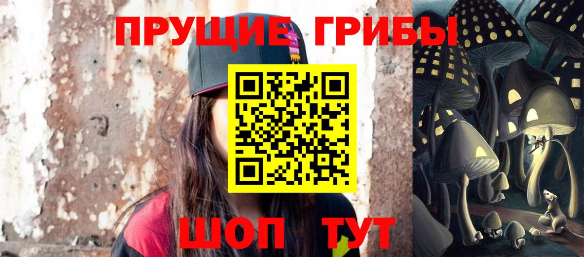 Псилоцибиновые грибы ЛСД Губкинский